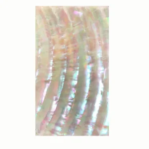 XE-014 New Design  Natural Shell Paper  Luminous Snails  for Art Craft Furniture Counter Top Home Decoration
