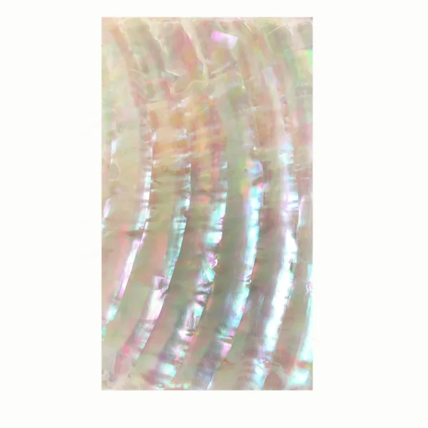 XE-014 New Design  Natural Shell Paper  Luminous Snails  for Art Craft Furniture Counter Top Home Decoration