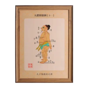 Doctor Staff Pharmacy Promotional Medical Gift Tcm Meridian Diagram Wall Mirror Screen Set Acupuncture Chart