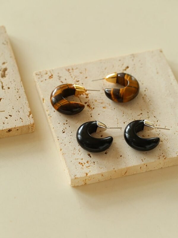 Crescent Moon Shaped Black Agate & Tiger's Eye Earrings